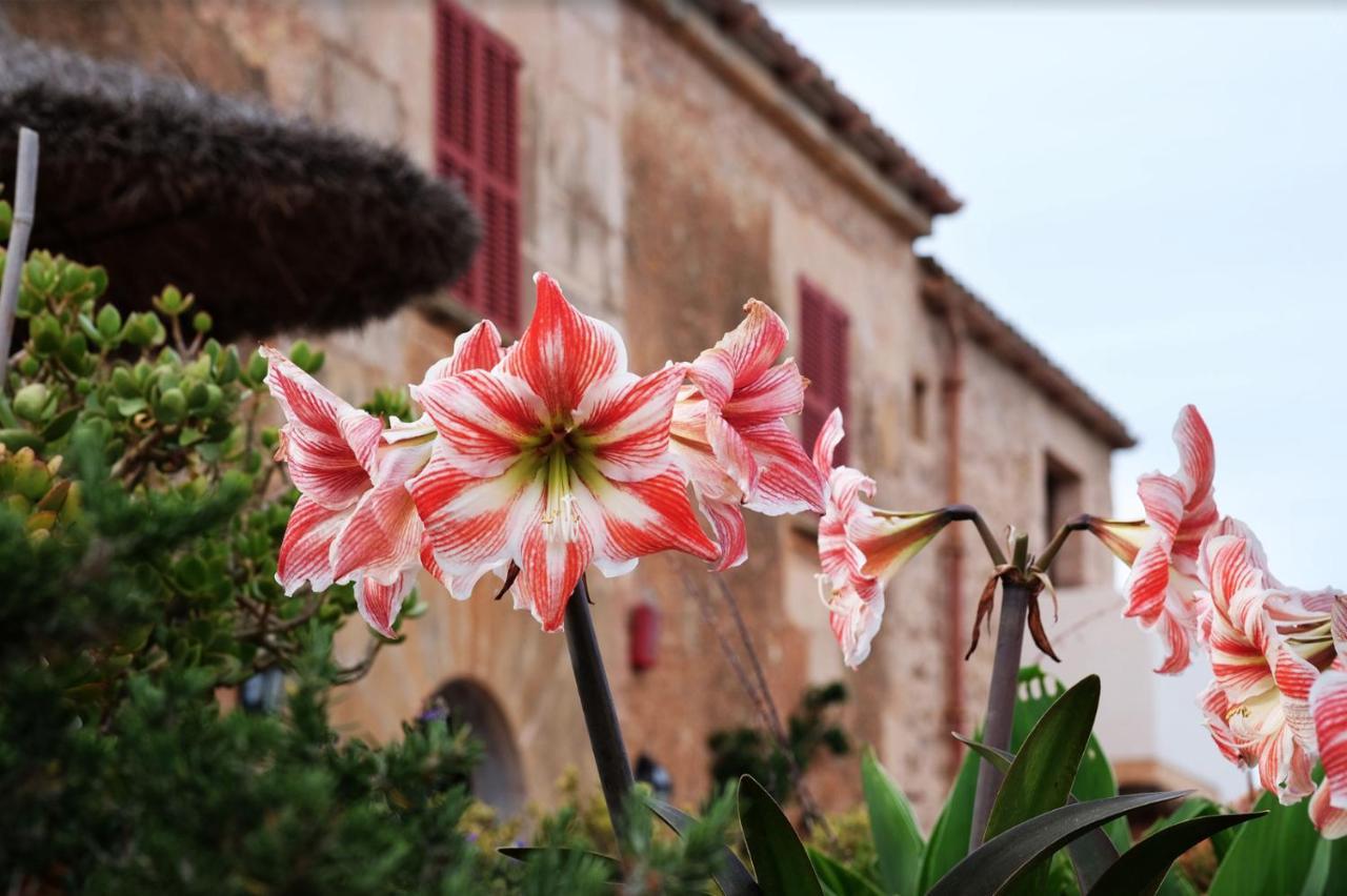 Finca Hotel Ses Cases Noves Sant Llorenc Des Cardassar Eksteriør billede