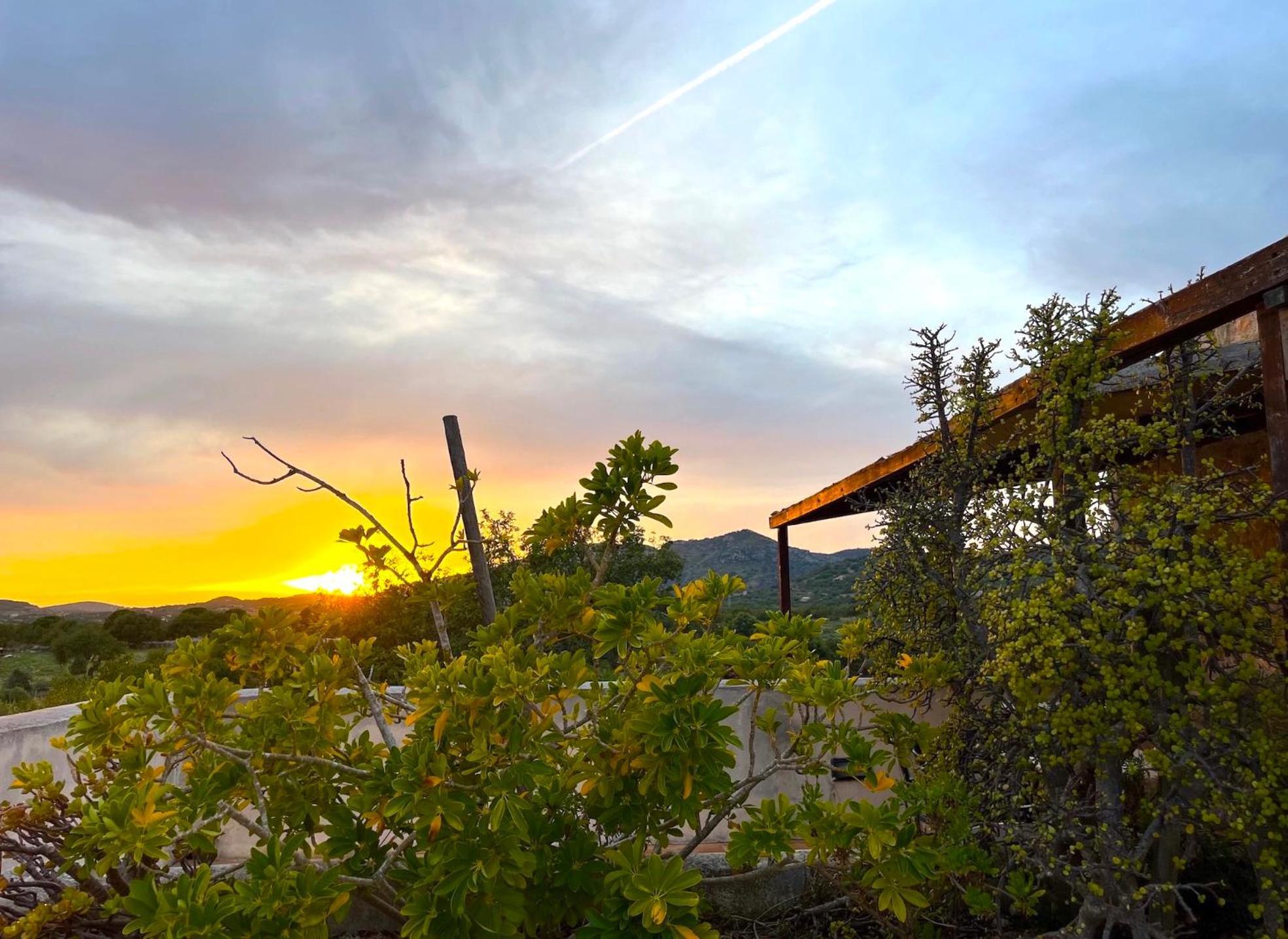 Finca Hotel Ses Cases Noves Sant Llorenc Des Cardassar Eksteriør billede