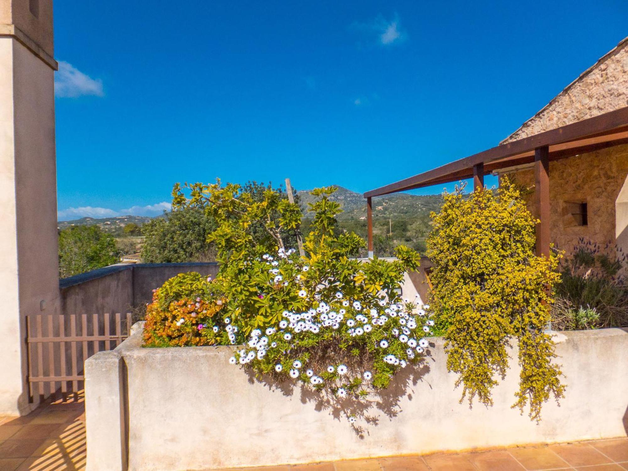 Finca Hotel Ses Cases Noves Sant Llorenc Des Cardassar Værelse billede
