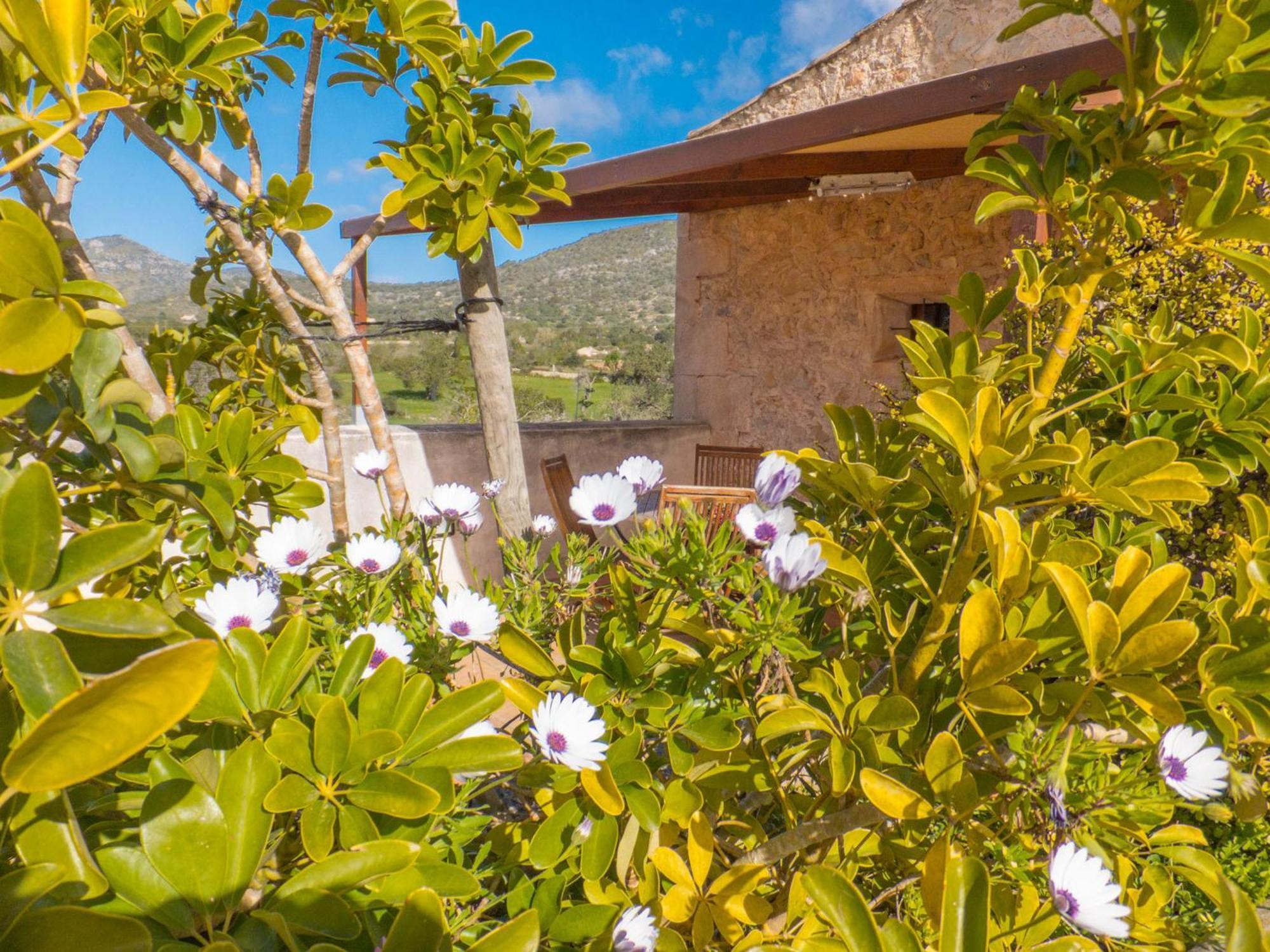 Finca Hotel Ses Cases Noves Sant Llorenc Des Cardassar Værelse billede